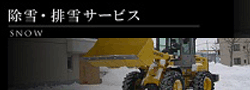 排雪サービス