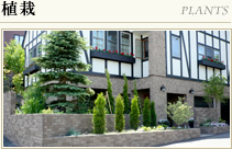 植栽
