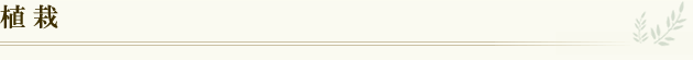 植栽