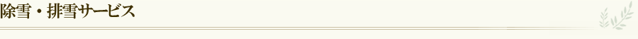 排雪サービス