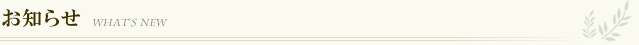 お知らせ・新着情報
